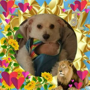 Meet your Posher, Norma